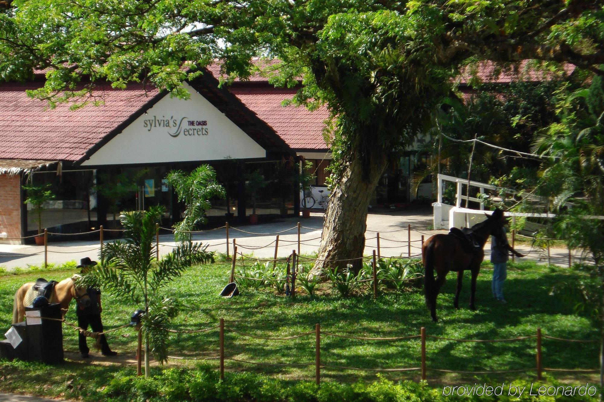 Oyo 104 Pegasus Hotel Singapore Ngoại thất bức ảnh